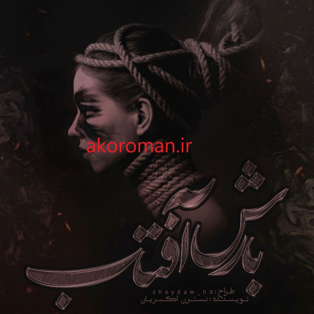 جلد کتاب رمان بارش افتاب