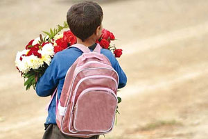 جلد کتاب رمان امیر گل فروش