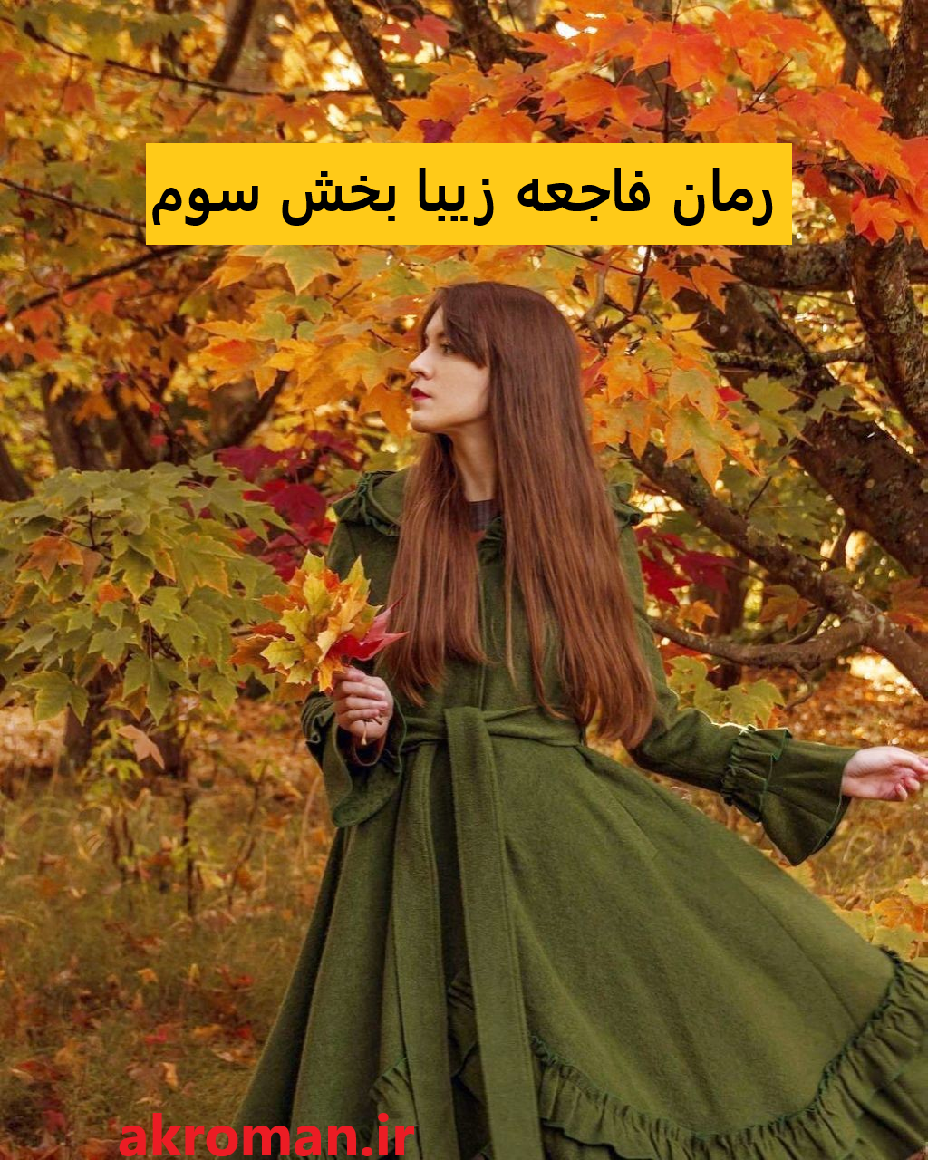 جلد کتاب رمان فاجعه زیبا بخش سوم